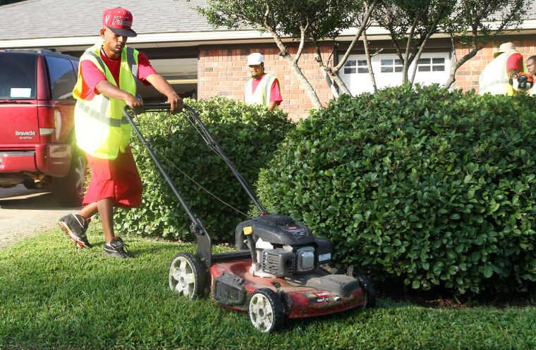 Landscaping Business